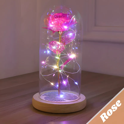 Ewige Rose - Ewige Liebe