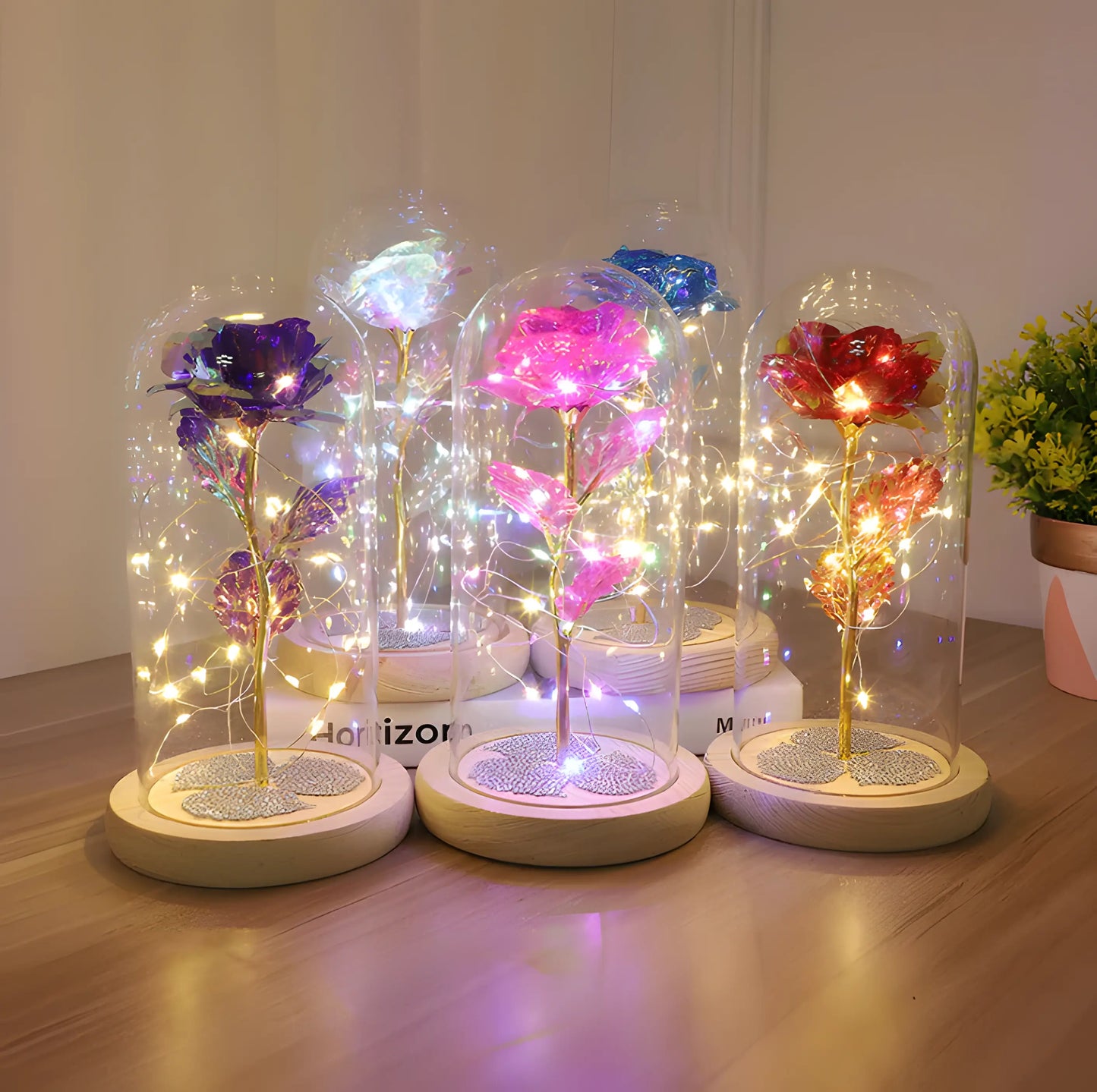 Ewige Rose - Ewige Liebe